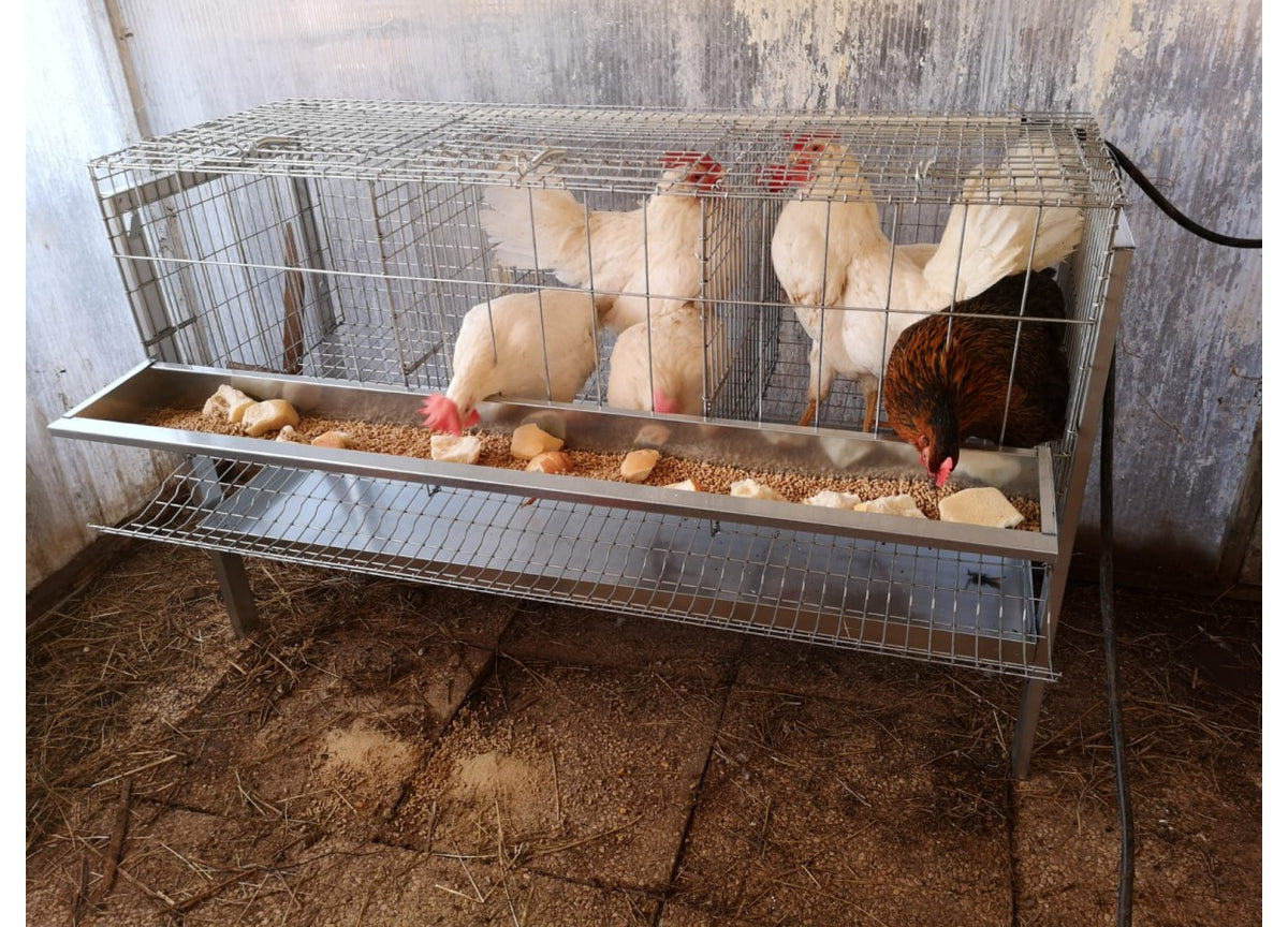 Gabbia per galline ovaiole polli completa